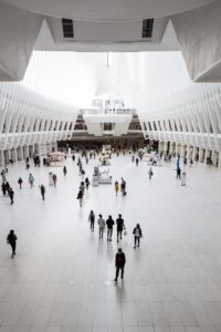Read more about the article Exhibitions